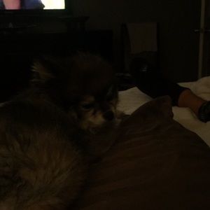 Meet your Posher, Jackie